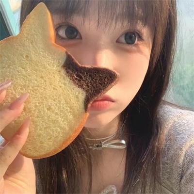 狗狗监护权