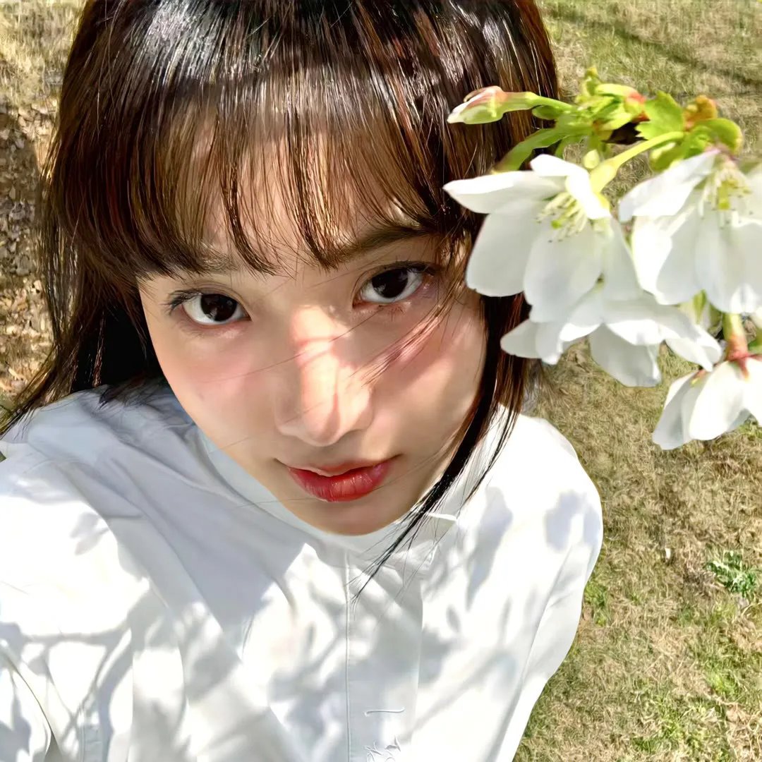 笨鸟满天飞